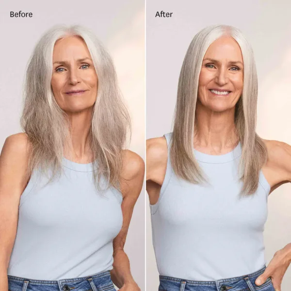 T3 DRYER - FEATHERWEIGHT STYLEMAX